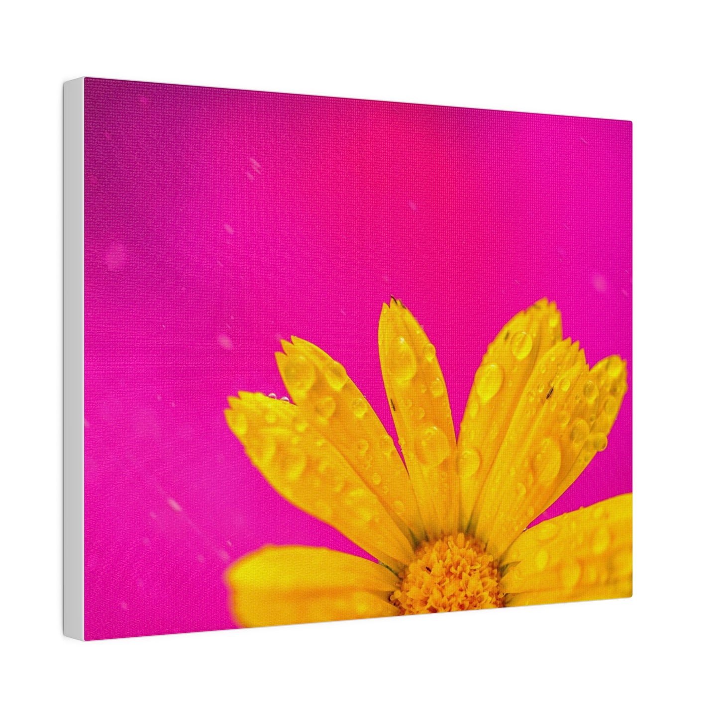 Beautiful yellow flower printed in a stretched matte canvas