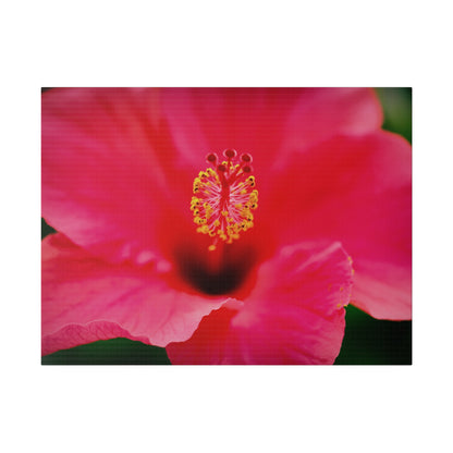 A beautiful hibiscus flower printed on a stretched matte canvas