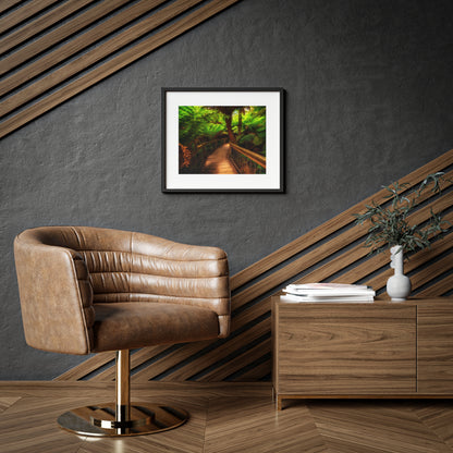 Wooden bridge winding through a lush forest of tall ferns printed on a framed matte poster