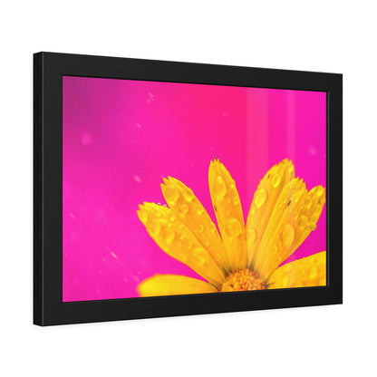 Beautiful yellow flower printed on a framed paper poster