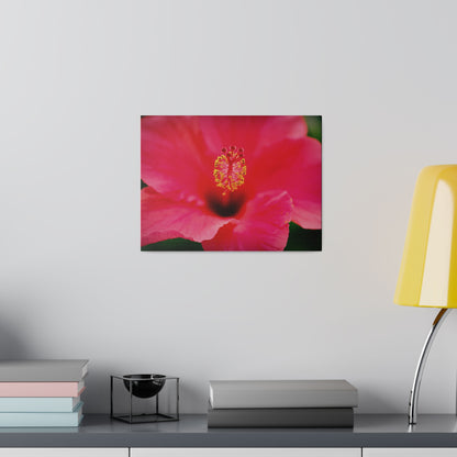 A beautiful hibiscus flower printed on a stretched matte canvas