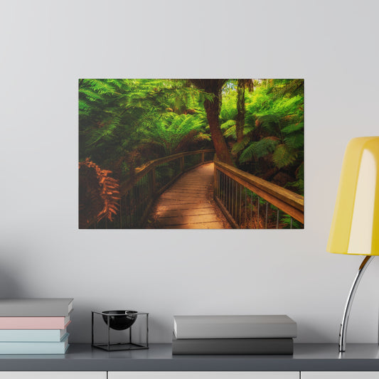 Wooden bridge winding through a lush forest of tall ferns printed on a stretched matte canvas