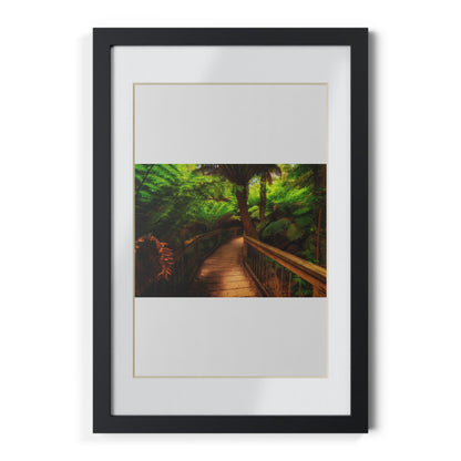 Wooden bridge winding through a lush forest of tall ferns printed black framed poster