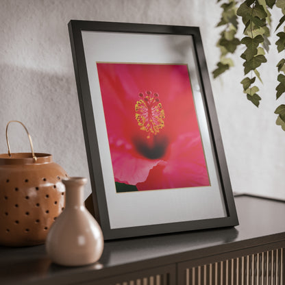 A beautiful hibiscus flower printed on a black framed poster