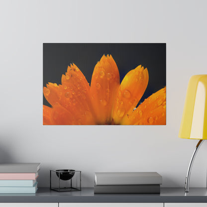 Orange flower petals drenched in dew printed on a stretched matte canvas