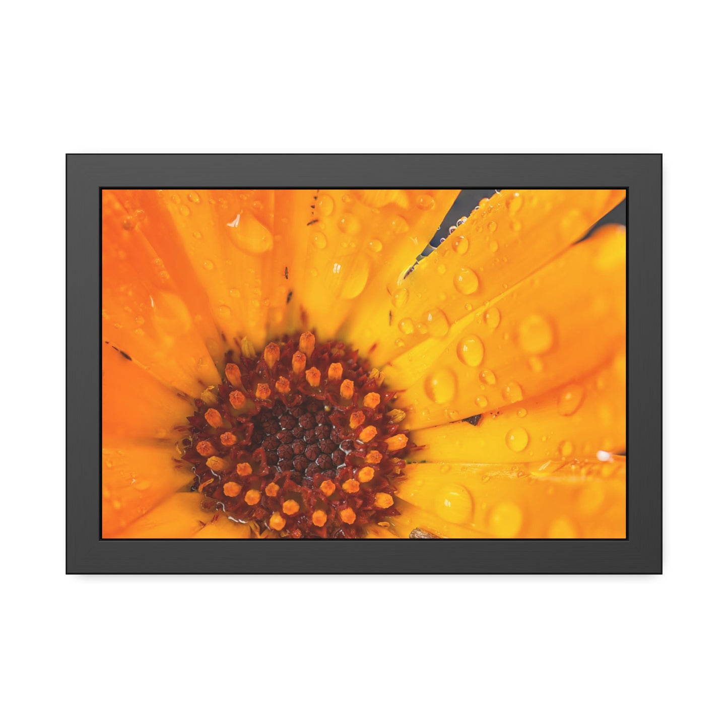 Drenched yellow flower printed on a framed paper poster