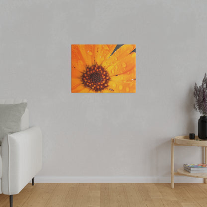 Orange flower petals drenched in dew printed on a stretched matte canvas