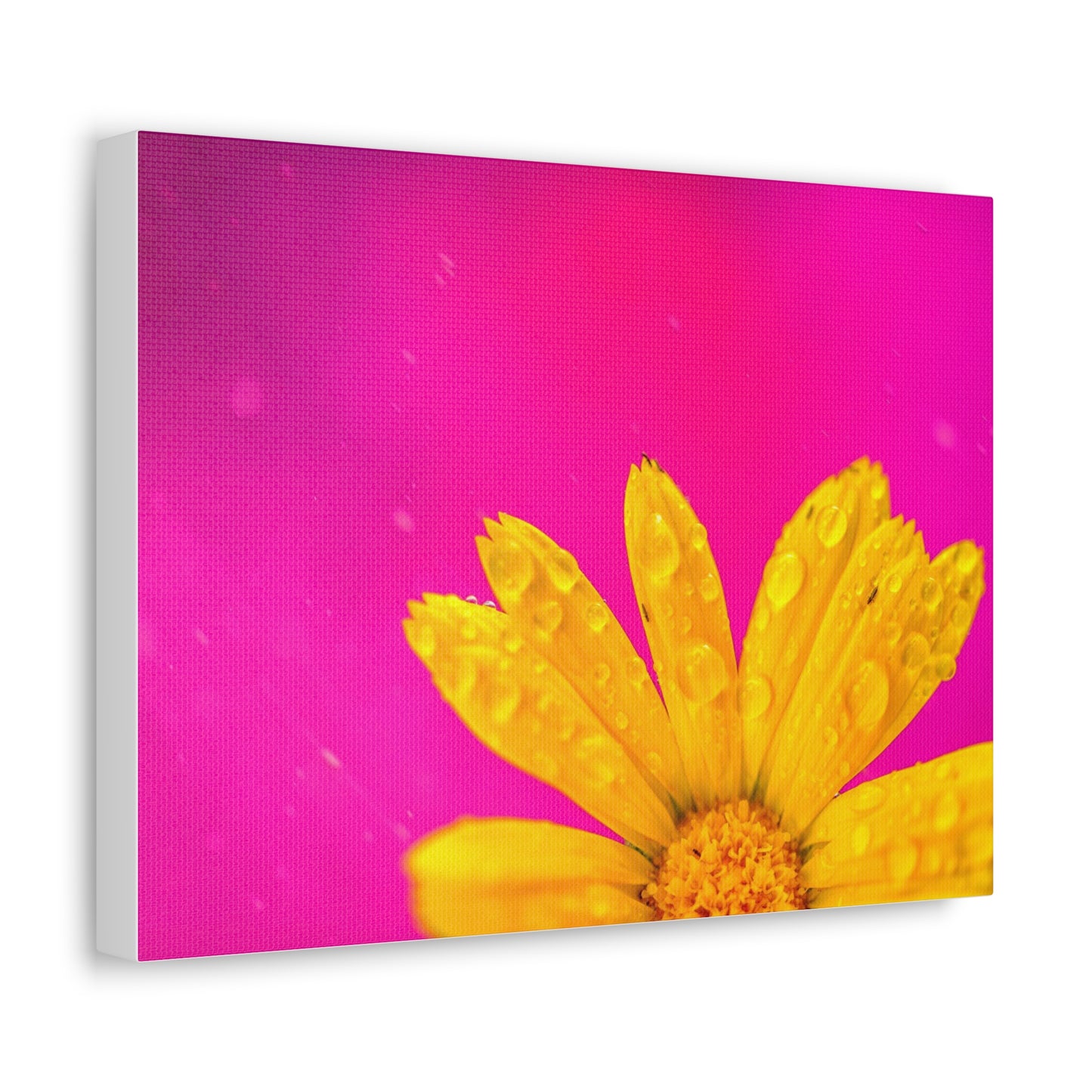 Beautiful yellow flower printed on a stretched satin canvas