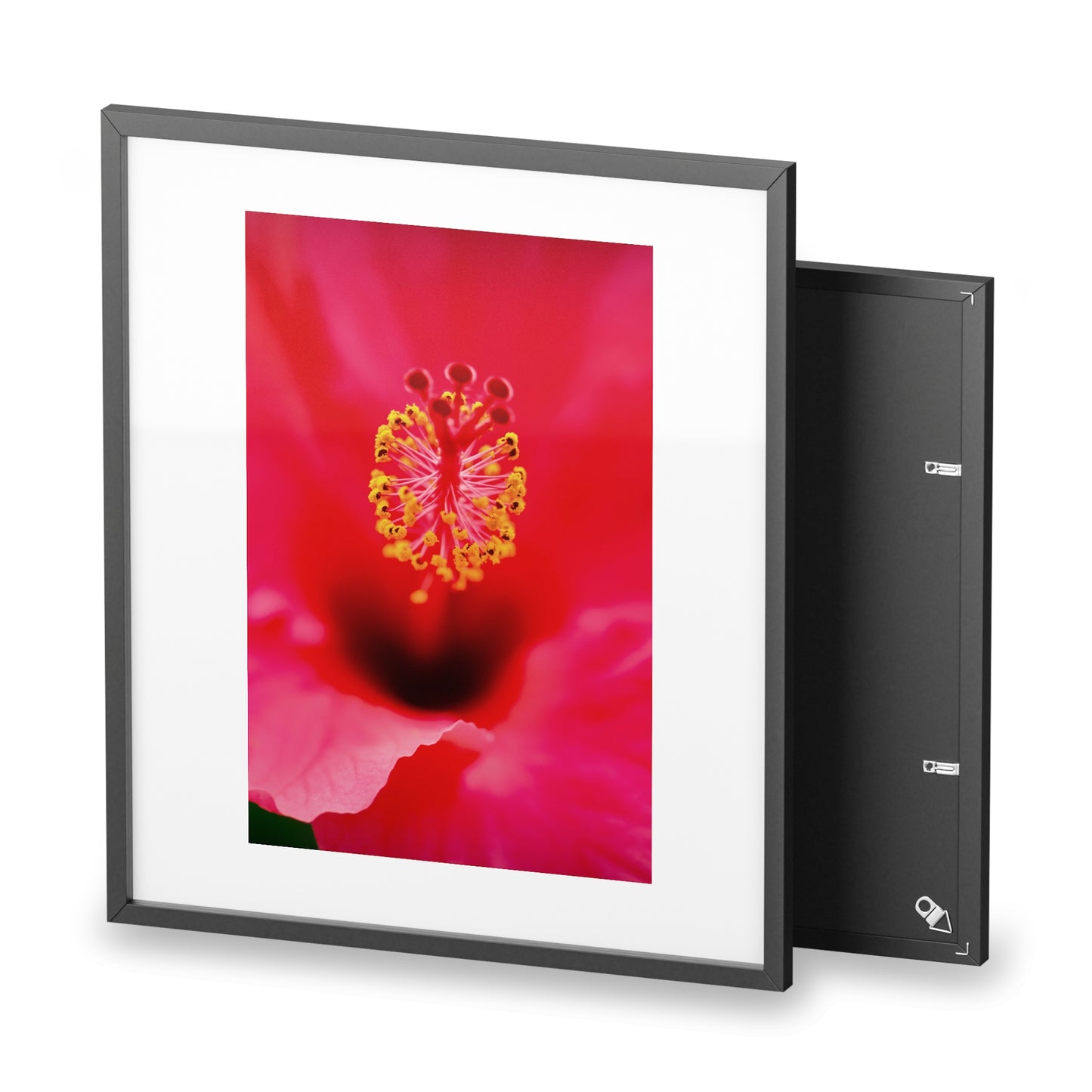 A beautiful hibiscus flower printed on a framed matte poster