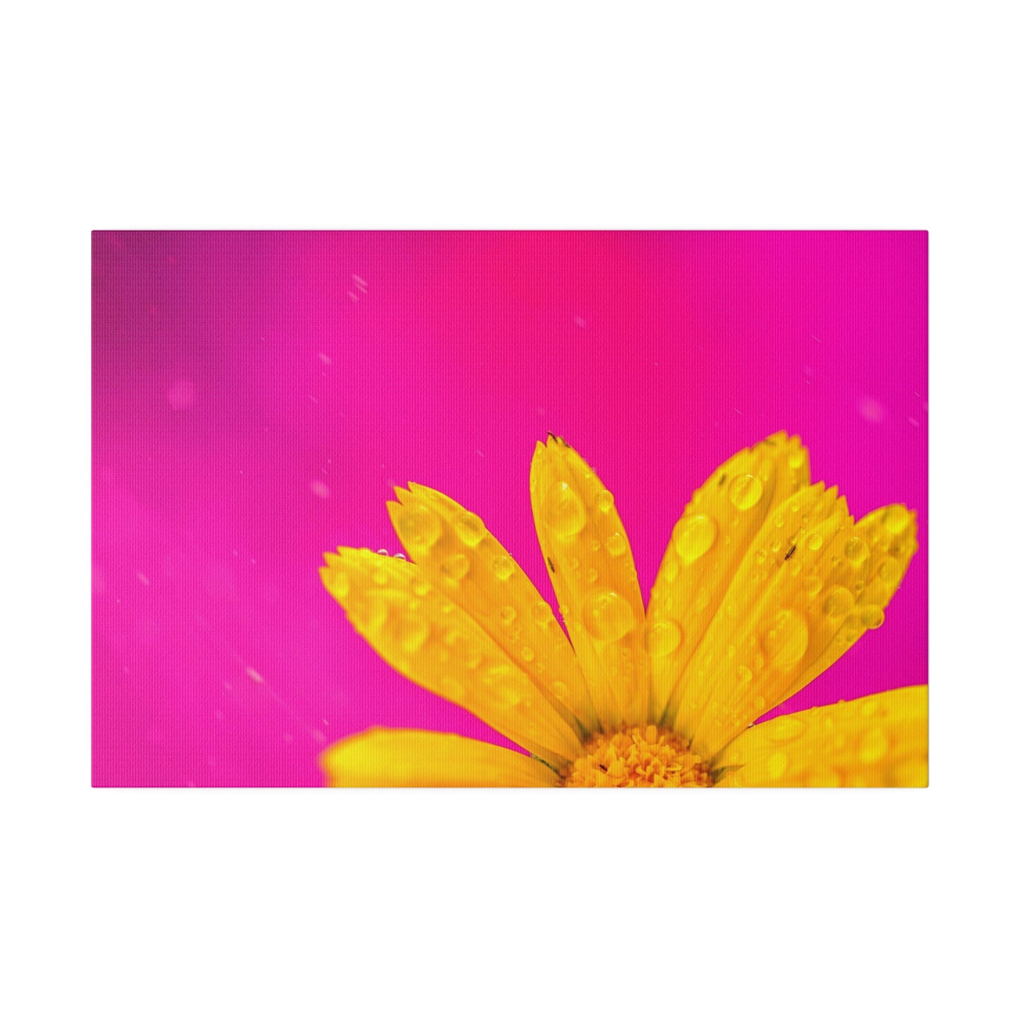 Beautiful yellow flower printed in a stretched matte canvas