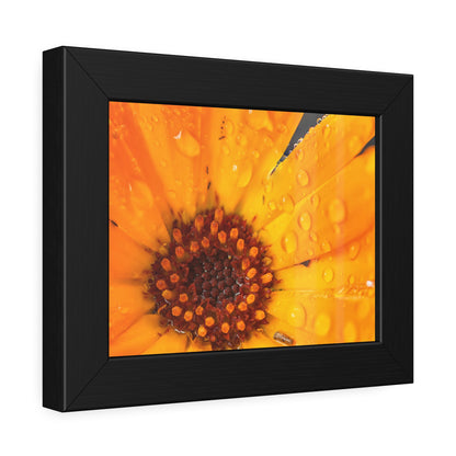 Drenched yellow flower printed on a framed paper poster