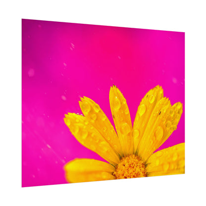 Beautiful yellow flower printed on rollable poster