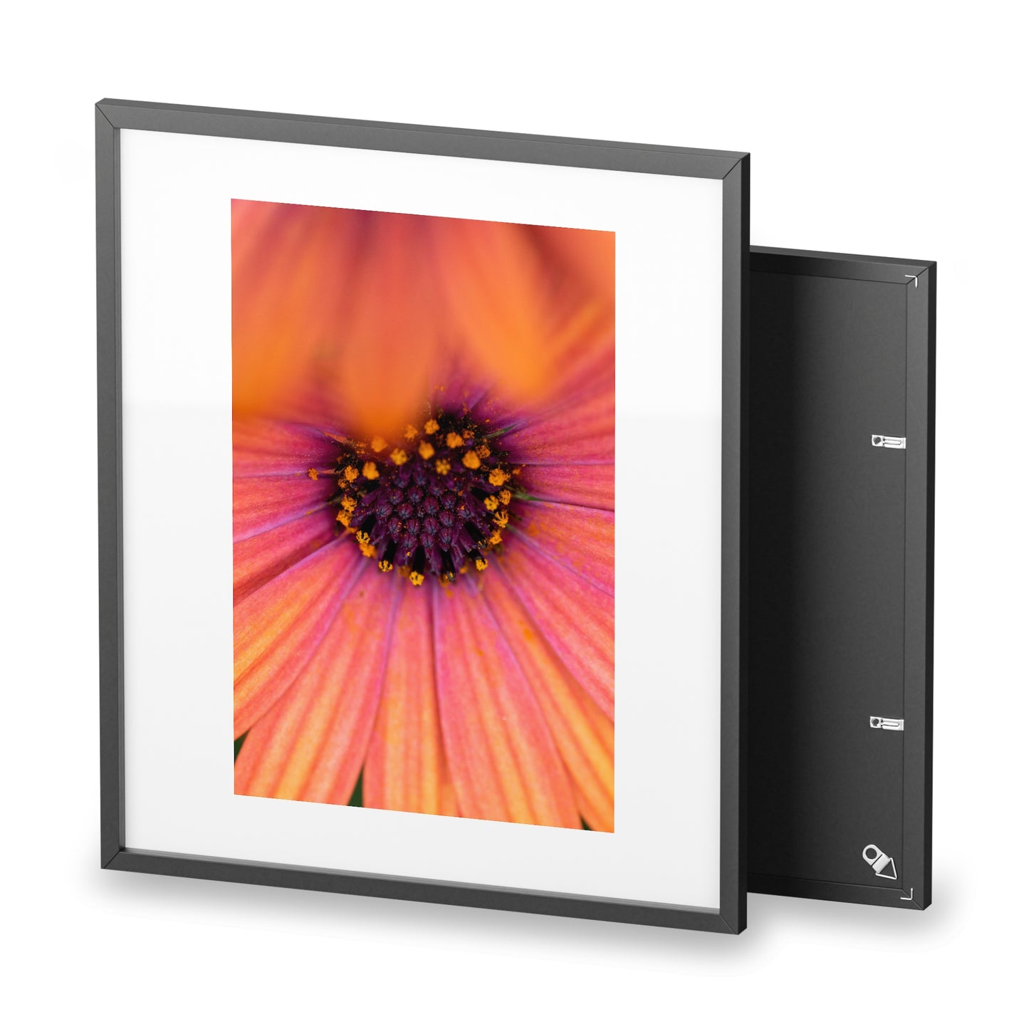 Colorful daisy printed on a framed matte poster