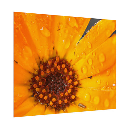 Drenched yellow flower printed on a rollable poster