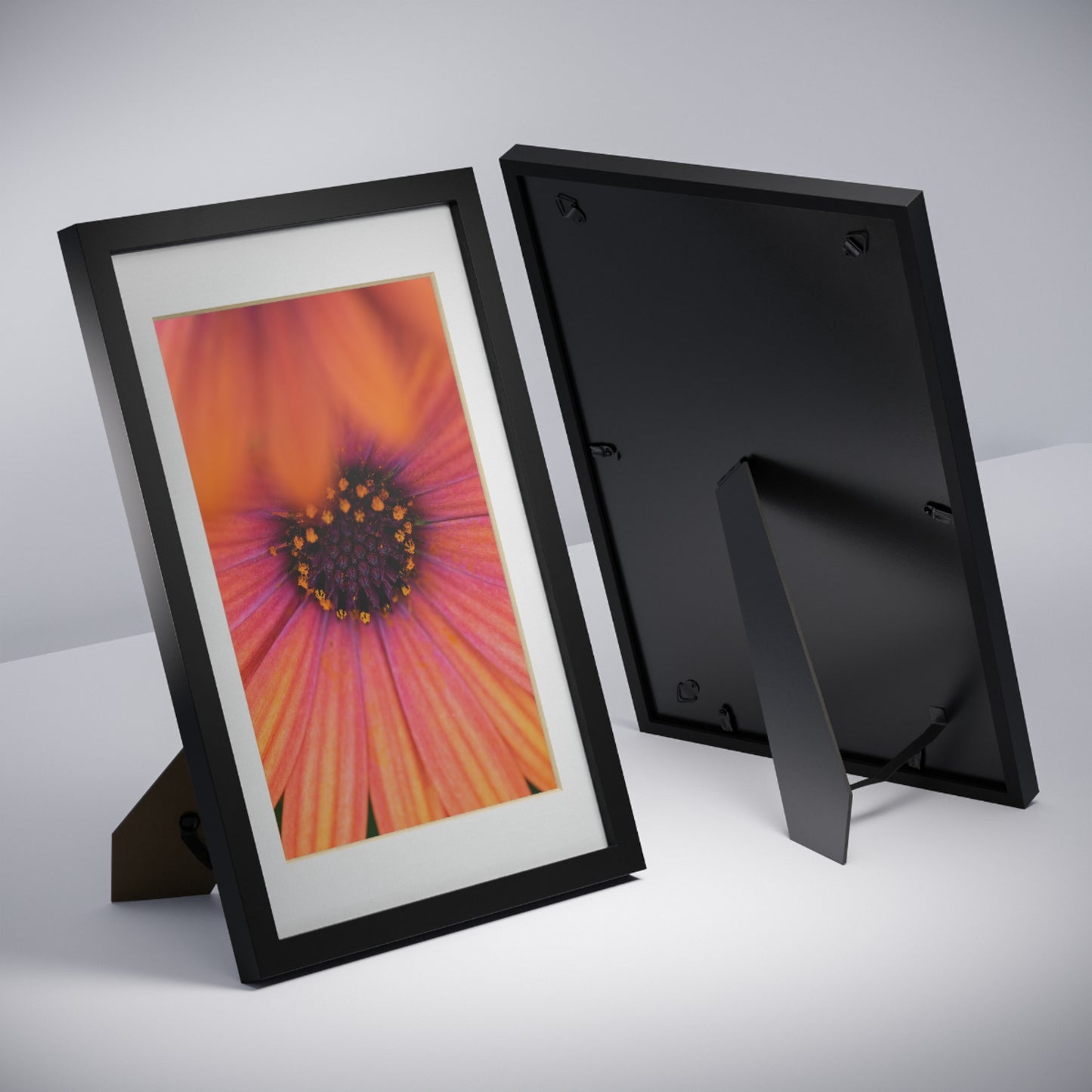 Colorful daisy printed on a black framed posters