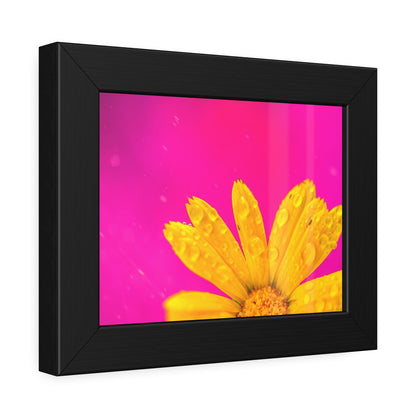 Beautiful yellow flower printed on a framed paper poster