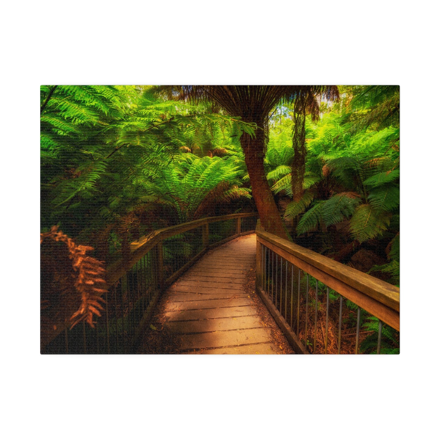 Wooden bridge winding through a lush forest of tall ferns printed on a stretched matte canvas