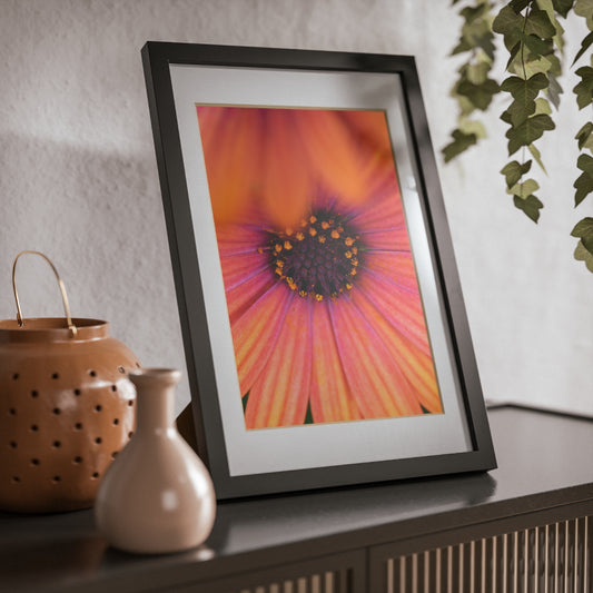 Colorful daisy printed on a black framed posters