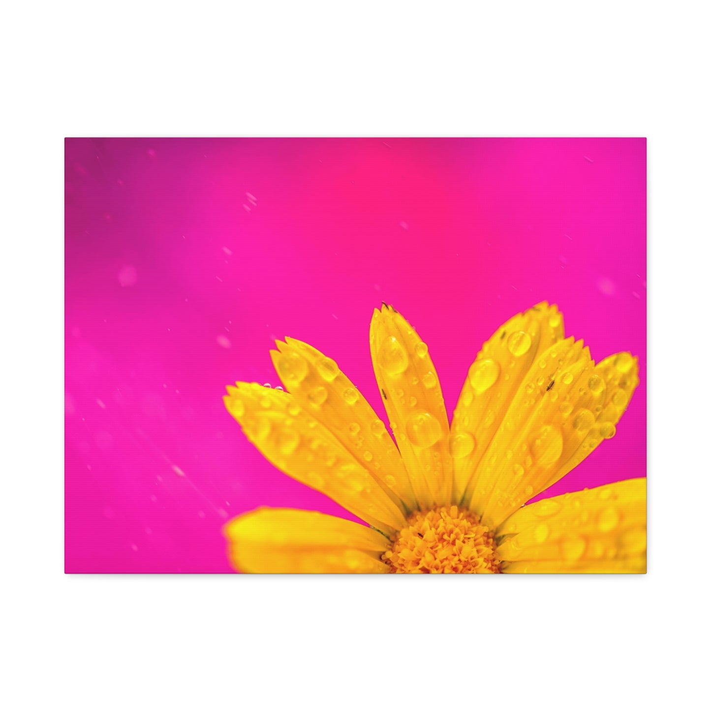 Beautiful yellow flower printed on a stretched satin canvas