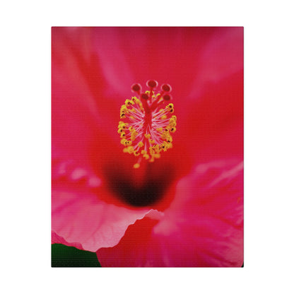 A beautiful hibiscus flower printed on a stretched matte canvas