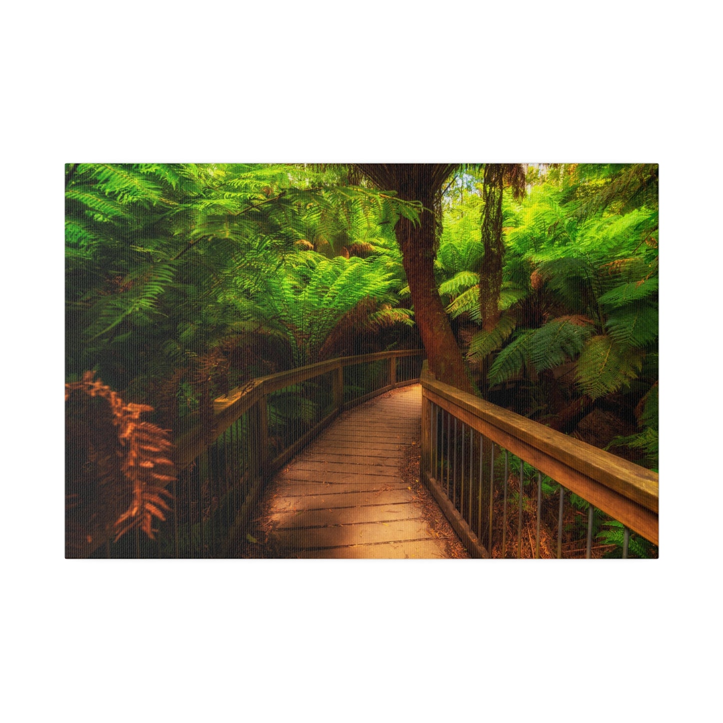 Wooden bridge winding through a lush forest of tall ferns printed on a stretched matte canvas