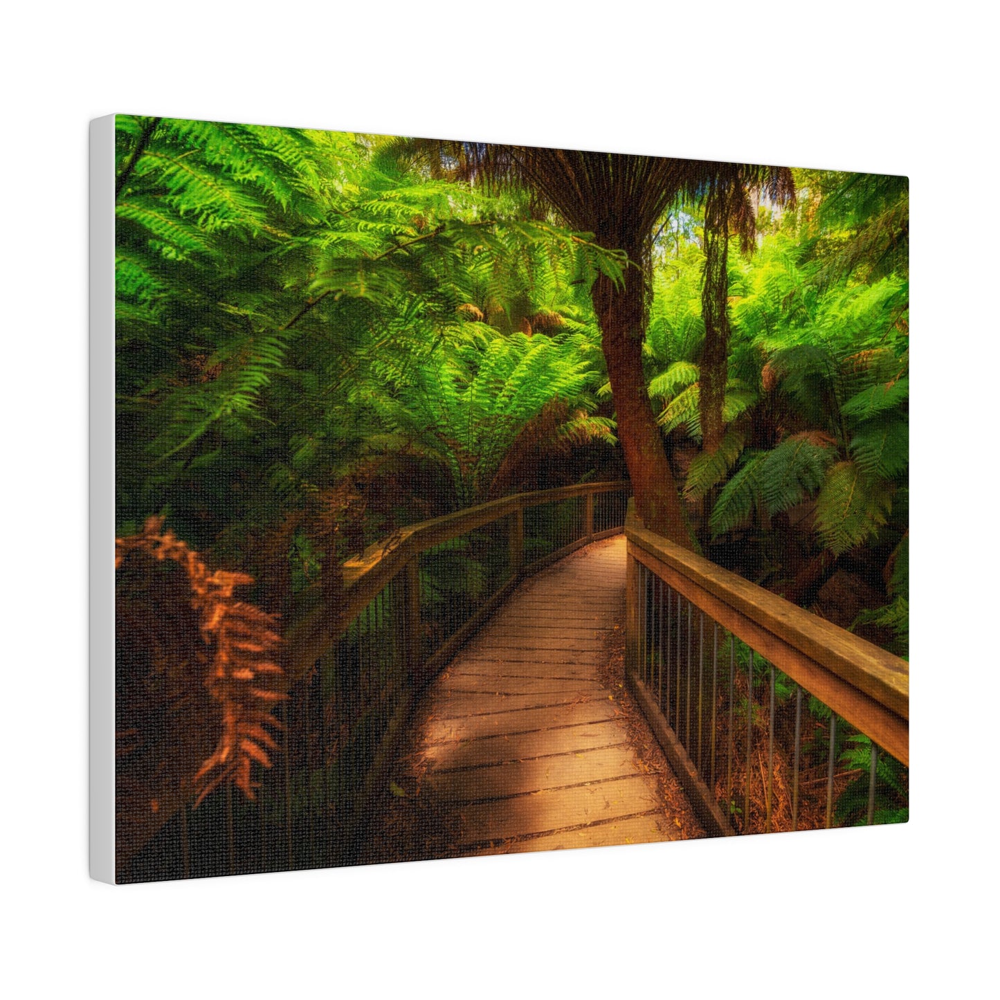 Wooden bridge winding through a lush forest of tall ferns printed on a stretched matte canvas