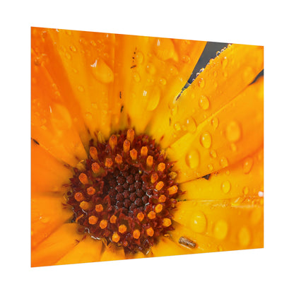 Drenched yellow flower printed on a rollable poster