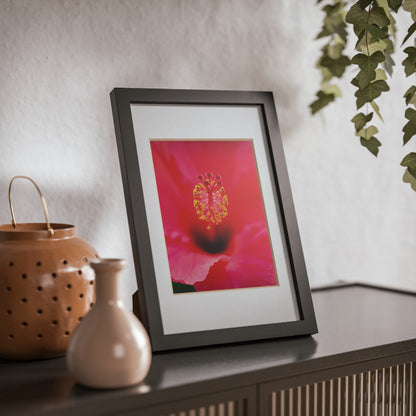 A beautiful hibiscus flower printed on a black framed poster