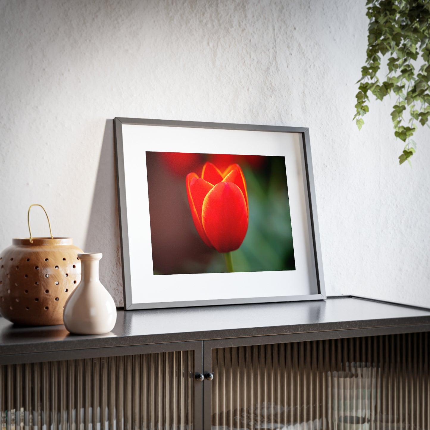 Fiery red and yellow tulip on a framed matte  poster