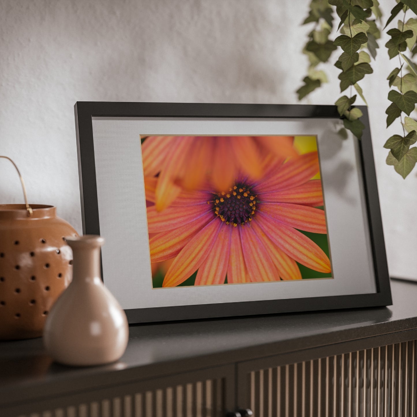 Colorful daisy printed on a black framed posters