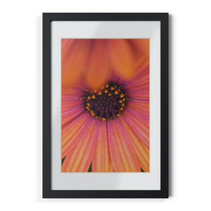 Colorful daisy printed on a black framed posters