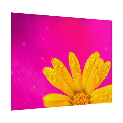 Beautiful yellow flower printed on rollable poster