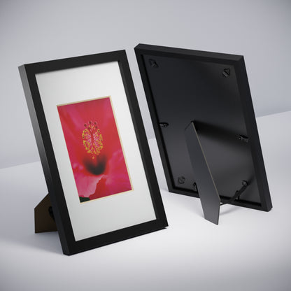 A beautiful hibiscus flower printed on a black framed poster