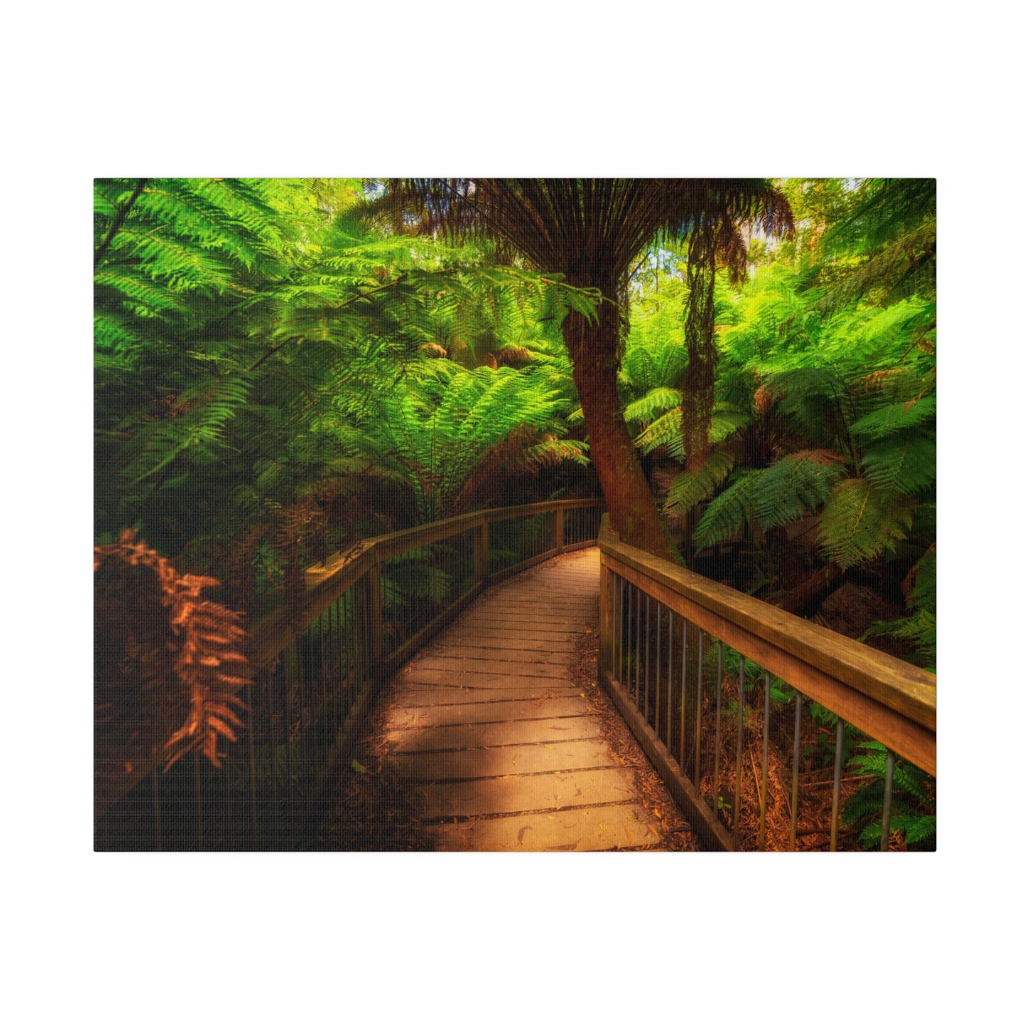 Wooden bridge winding through a lush forest of tall ferns printed on a stretched matte canvas