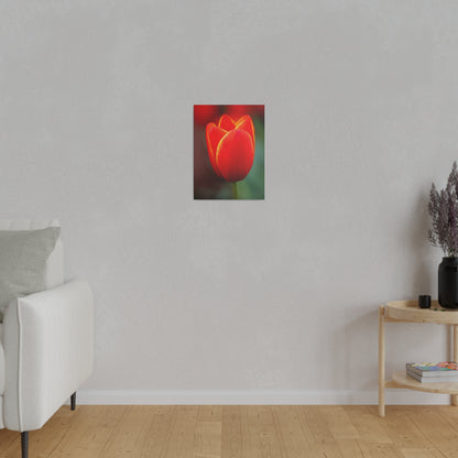 Fiery red and yellow tulip printed on a stretched matte canvas