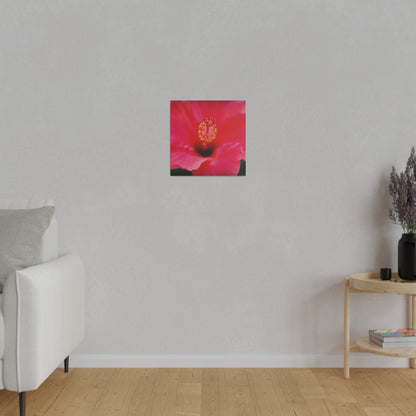 A beautiful hibiscus flower printed on a stretched matte canvas