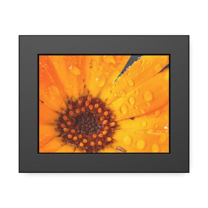 Drenched yellow flower printed on a framed paper poster