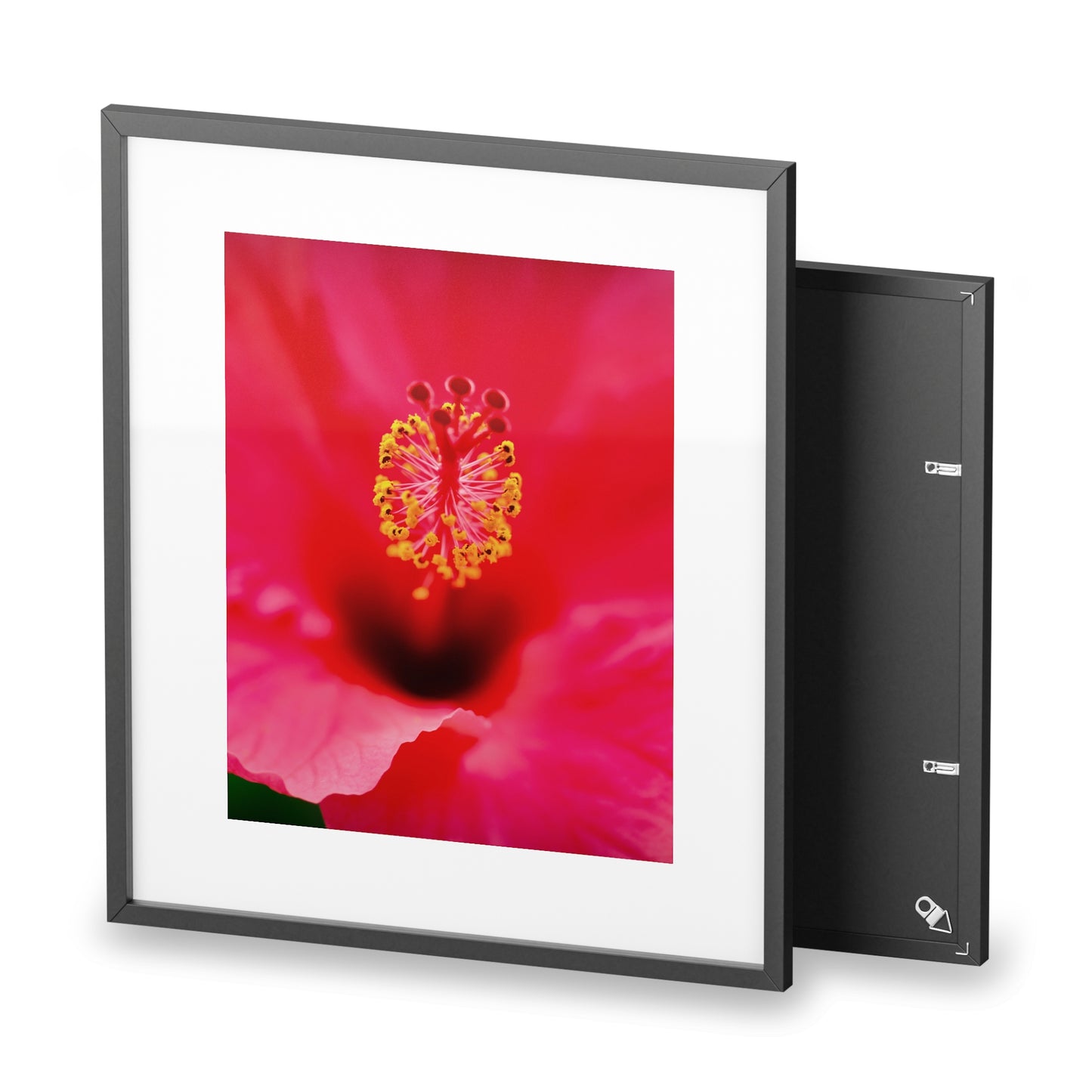 A beautiful hibiscus flower printed on a framed matte poster