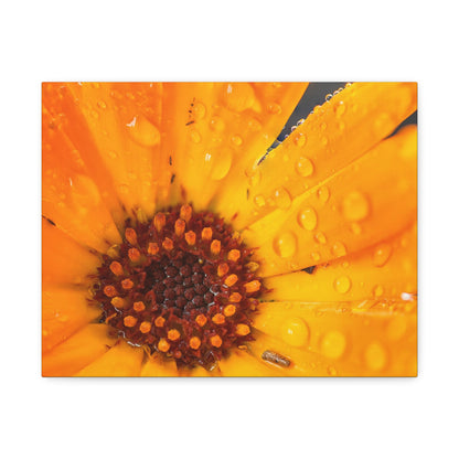 Drenched yellow flower printed on a stretched satin canvas