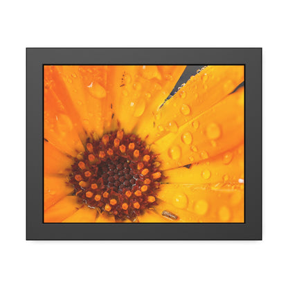 Drenched yellow flower printed on a framed paper poster