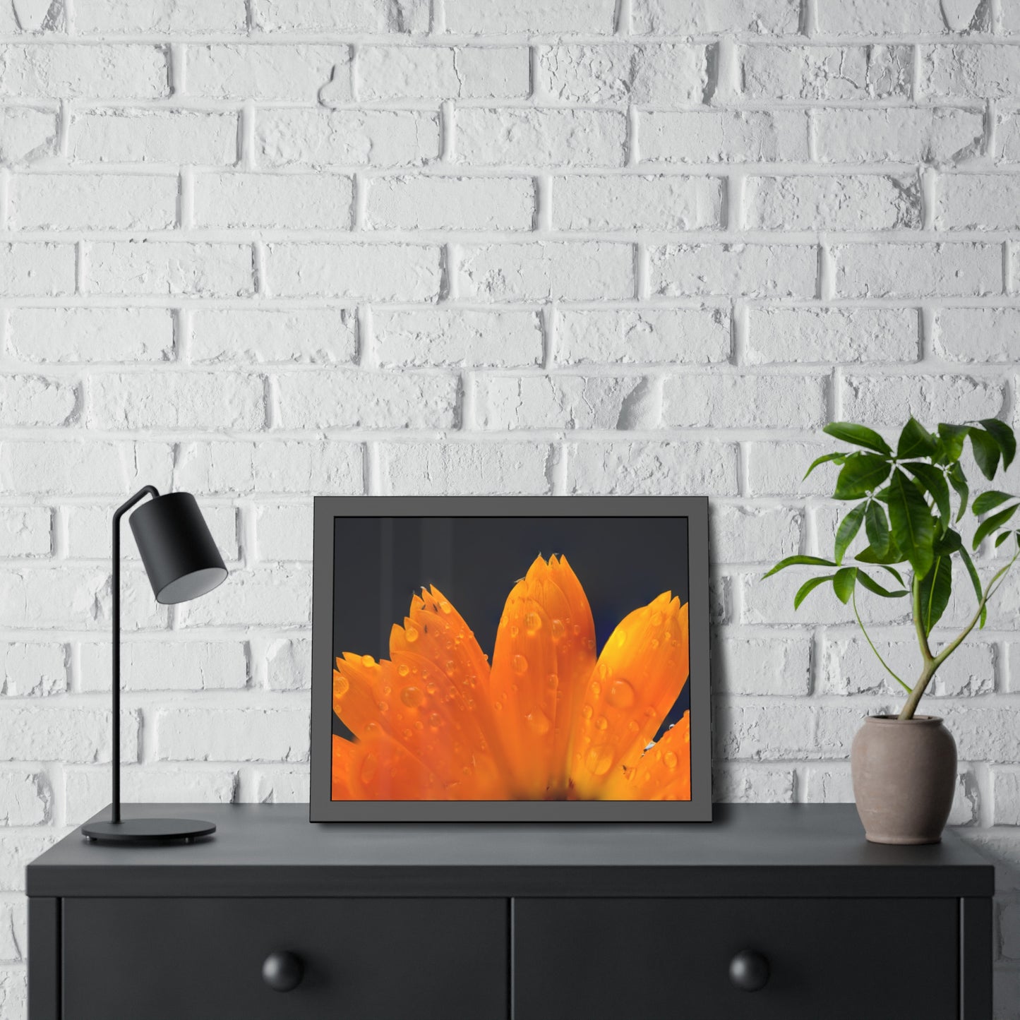 Orange flower petals drenched in dew printed on a framed paper poster