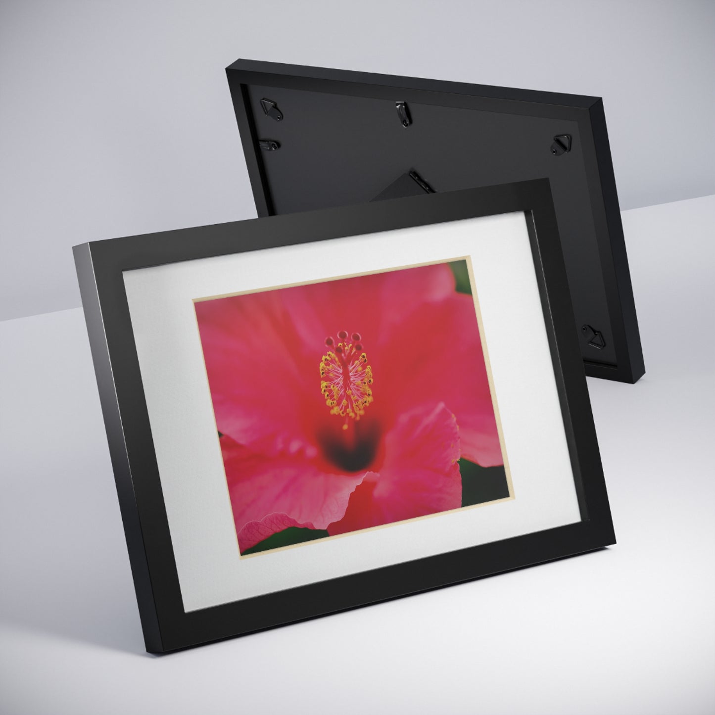 A beautiful hibiscus flower printed on a black framed poster