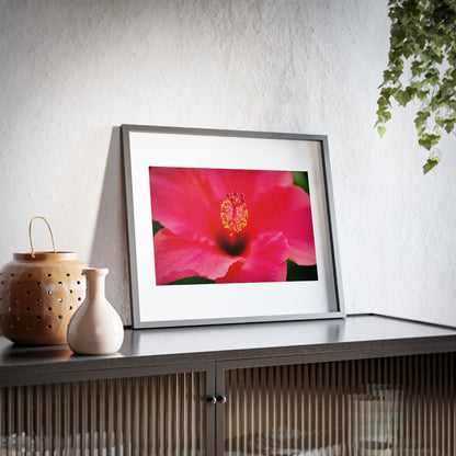 A beautiful hibiscus flower printed on a framed matte poster