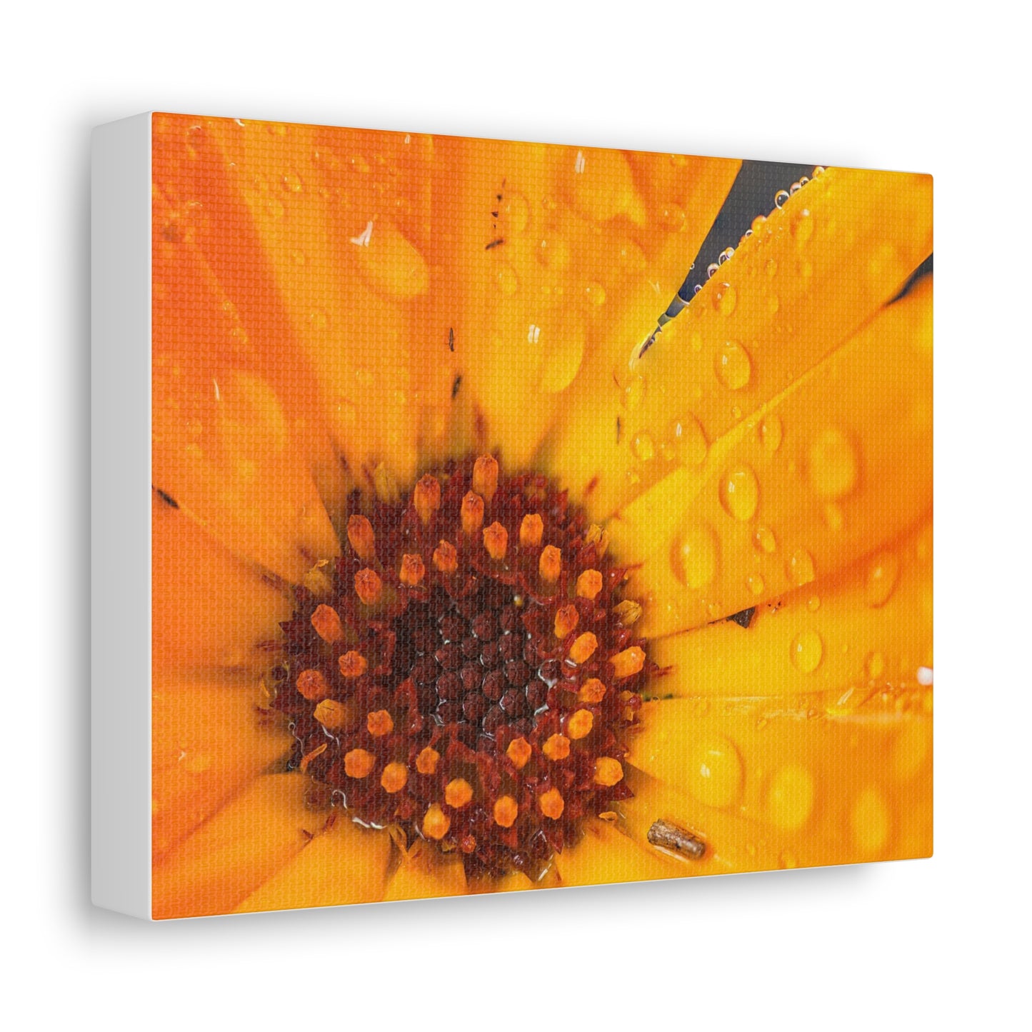 Drenched yellow flower printed on a stretched satin canvas