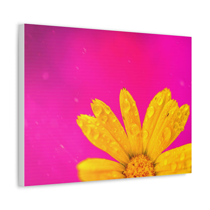 Beautiful yellow flower printed on a stretched satin canvas