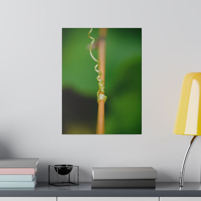 Nature's grip! A stunning macro print in a stretched matte canvas