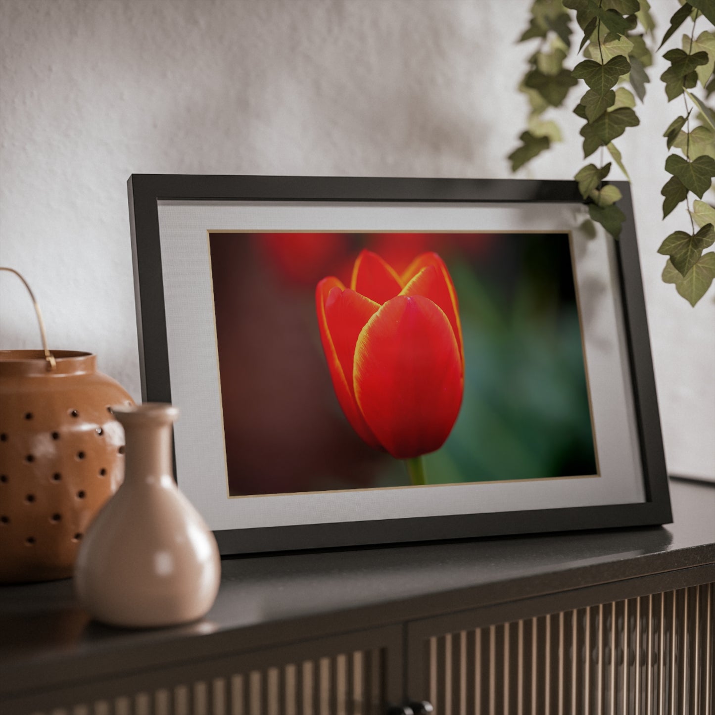 Fiery red and yellow tulip in a black framed poster