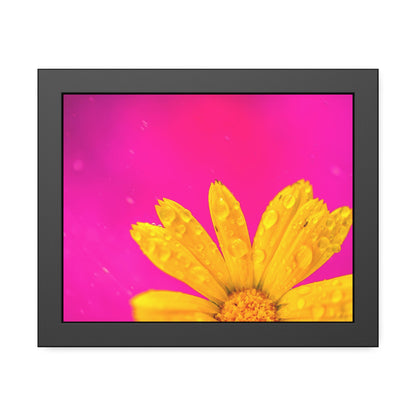 Beautiful yellow flower printed on a framed paper poster