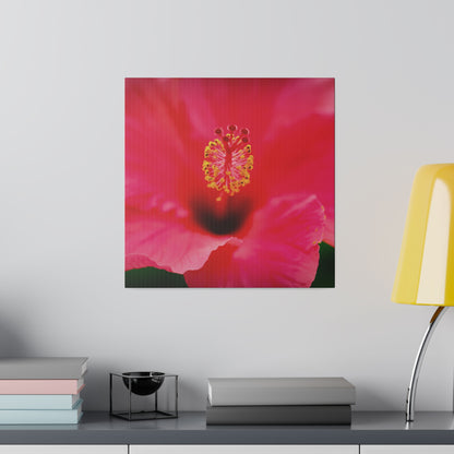 A beautiful hibiscus flower printed on a stretched matte canvas