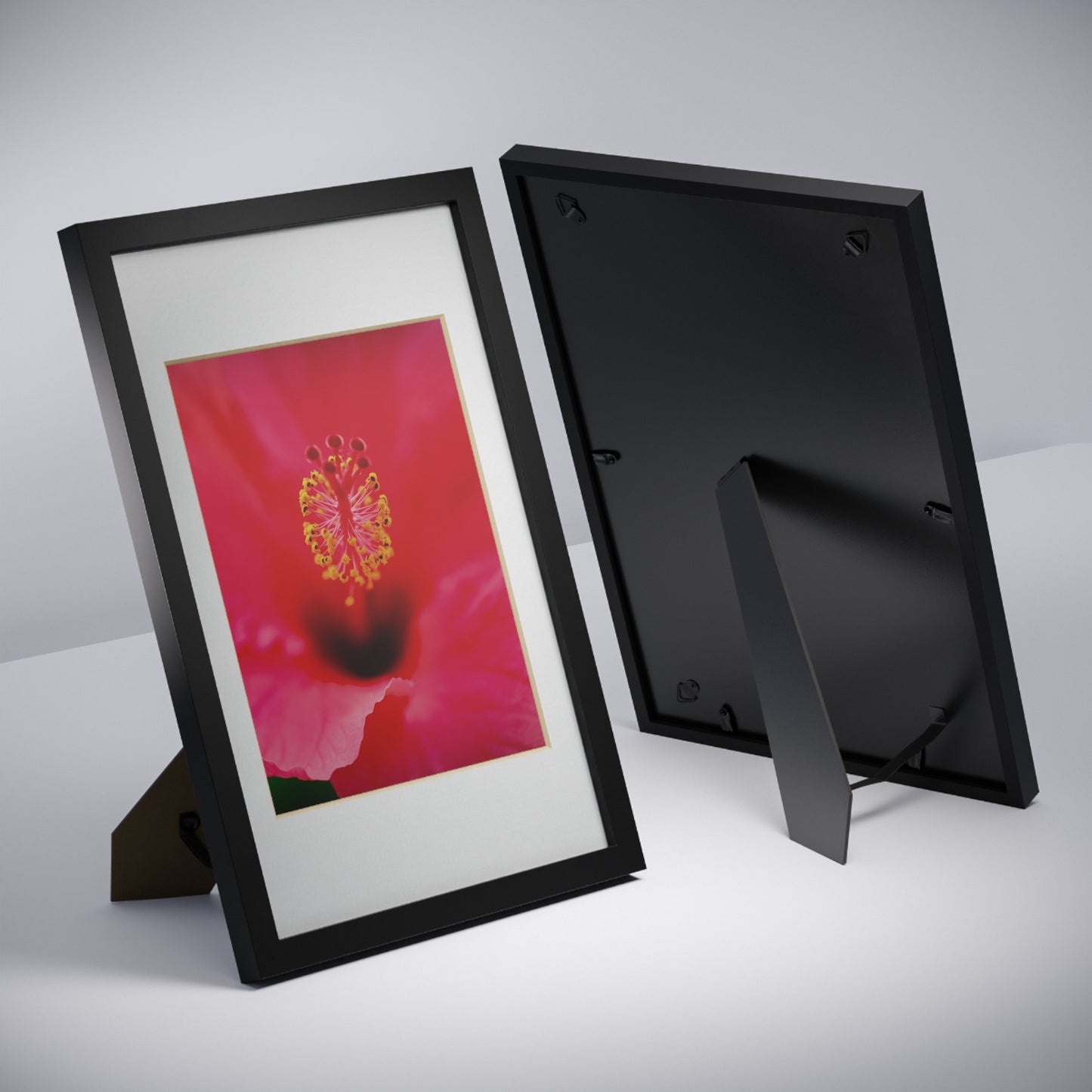 A beautiful hibiscus flower printed on a black framed poster